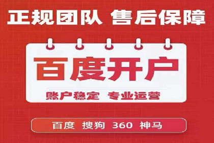 某某sem推广公司在某行业的应用与效果分析